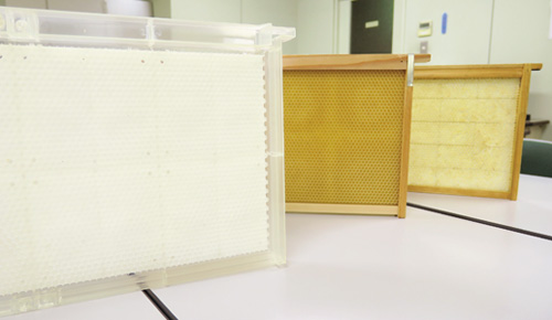 右から通常の巣箱、巣板のみ生分解樹脂を使用、巣板･枠ともに生分解樹脂を使用。