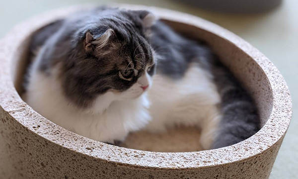 スポンジ素材の加工メーカー株式会社ジョウナンが取り組む、新製品開発